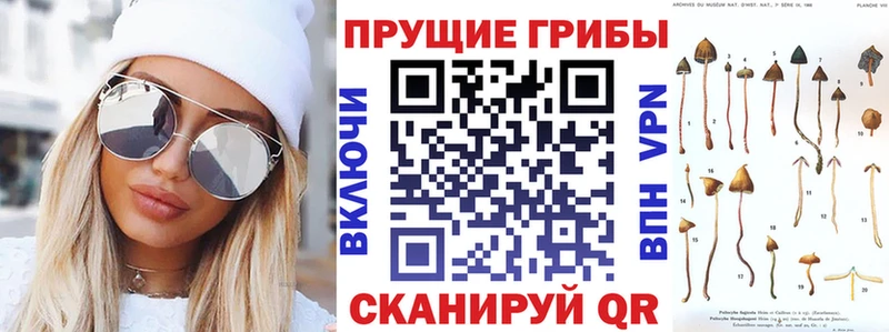 Псилоцибиновые грибы Cubensis Яблоновский