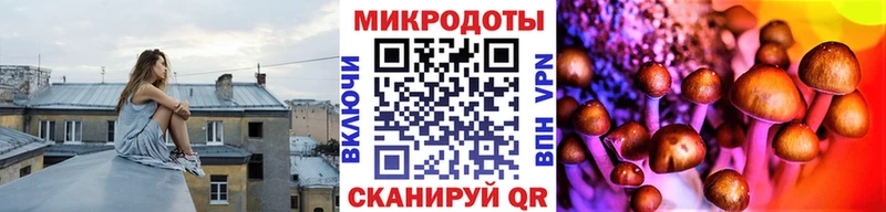 купить наркотик  Яблоновский  Псилоцибиновые грибы Cubensis 